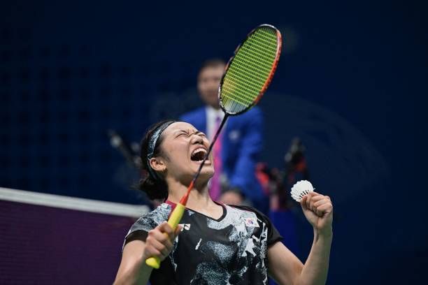 羽毛球场标准大小对比：业余与职业场地的差异