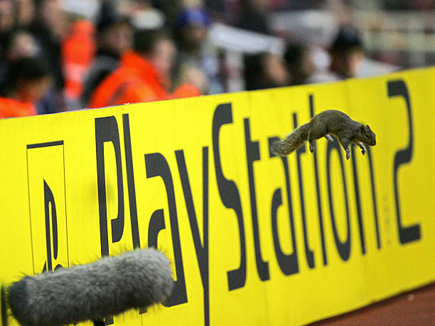 突出App的综合性功能,不止于看视频