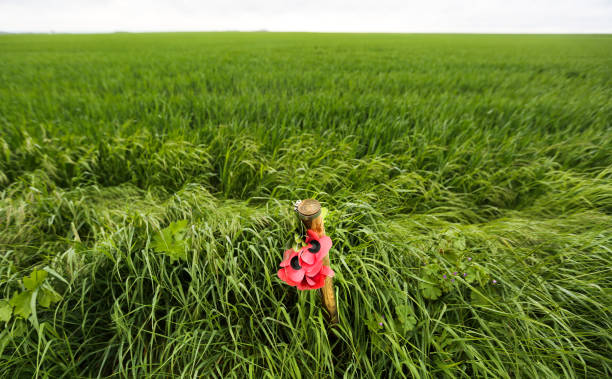 阿森纳欧冠赛程详解：1415赛季每场比赛时间