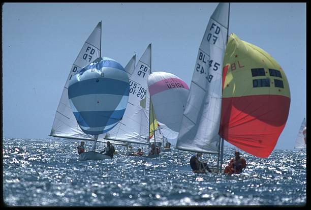 揭秘巴黎奥运会:场馆设计与城市遗产规划