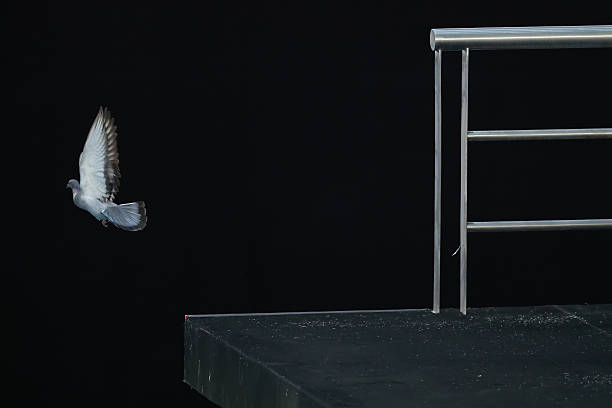 郭晶晶与霍启刚的婚姻生活点滴