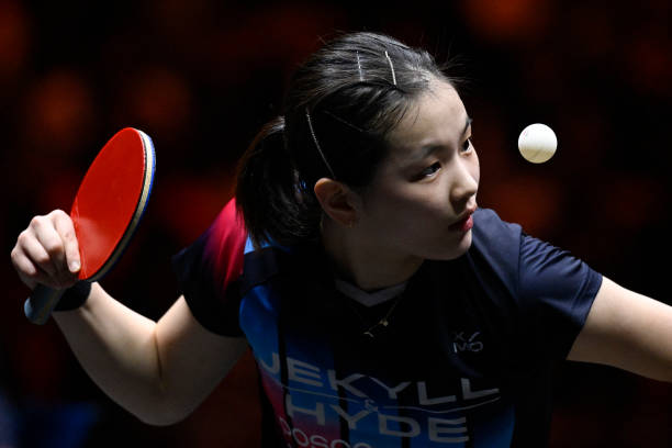 新手入门指南：最适合初学者的乒乓球拍推荐