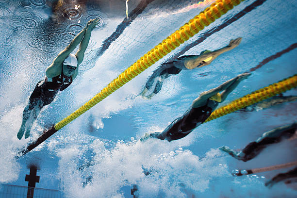 自由泳规则更新：游泳教练和运动员必读指南