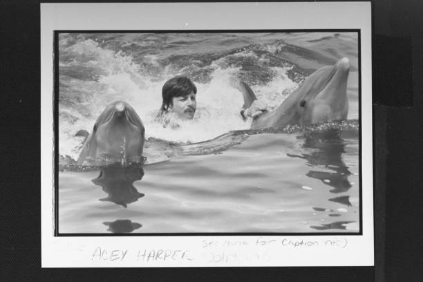 游泳证书查询入口:官方网址及操作流程