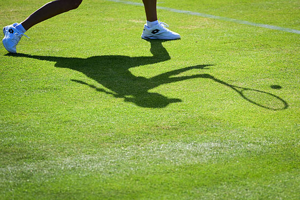 网球H2H:揭秘球员之间的胜负关系