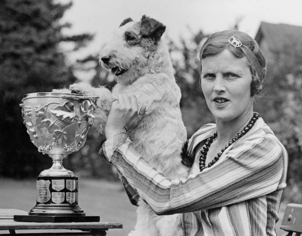 网球分数系统：15、30、40的起源与演变